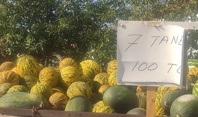 Taybıllı, Kavun Üreticilerini Dinledi