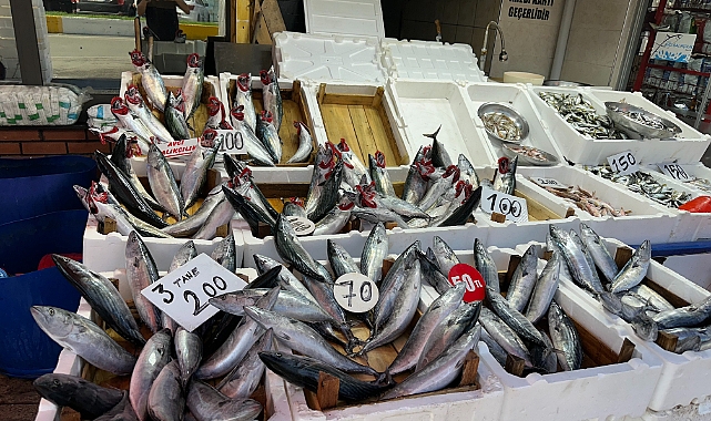 Tezgahlarda palamut bolluğu devam ediyor