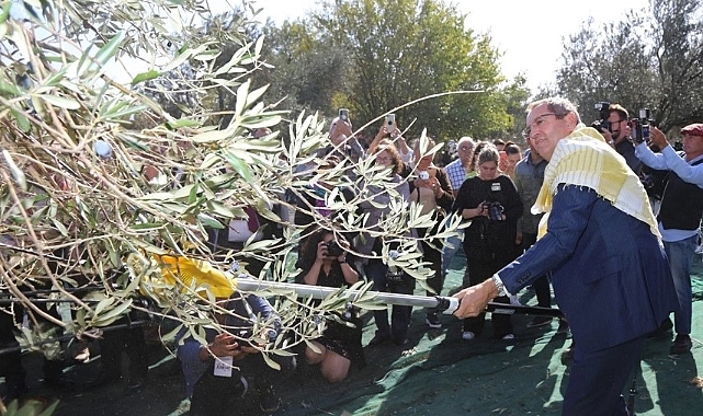 19. Ayvalık Zeytin Hasat ve Turizm Festivali'nde Coşku Dorukta