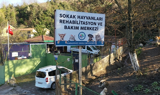 4 Ekim Dünya Hayvanları Koruma Günü