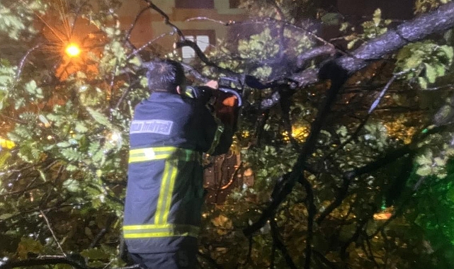 Ağaçlar yola devrildi, ulaşım kapandı