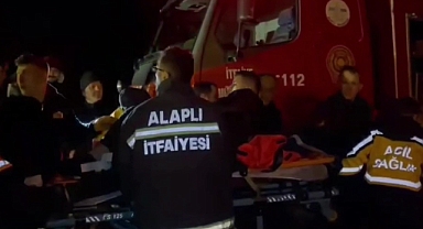 Alaplı-Akçakoca Yolunda Kaza: Demir Çubuk Otomobilin İçine Saplandı