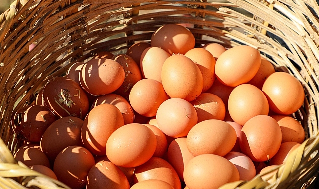 Başkan Güler'in Katkısıyla Üretim Artış Gösterdi; Zincir Marketler Ordu Yumurta Tüketiyor