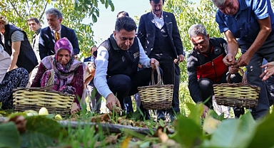 Bilecik, Ceviz Üretiminde Türkiye’nin İlk Üçünde