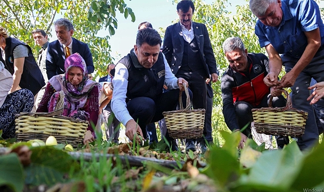 Bilecik, Ceviz Üretiminde Türkiye’nin İlk Üçünde