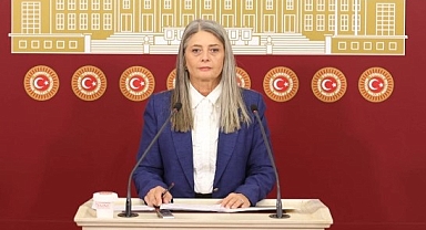 CHP'li Suiçmez, Sağlık Bakanlığı'na 'Doğum' Üzerine Tepki Gösterdi