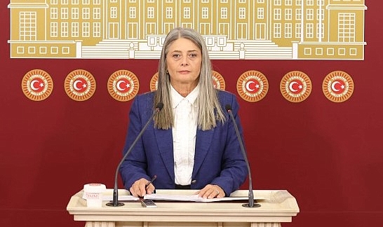 CHP'li Suiçmez, Sağlık Bakanlığı'na 'Doğum' Üzerine Tepki Gösterdi