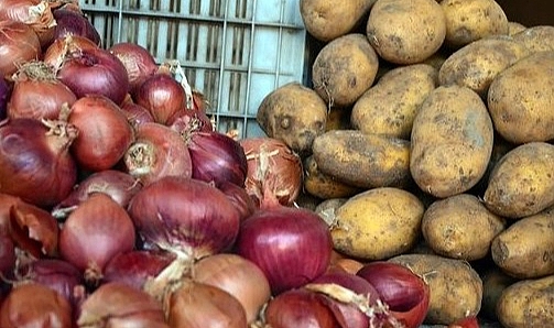 Fiyat Uçurumu Büyüyor: Üretici ve Market Arasındaki Fark İçin Devlet Adım Atmalı!