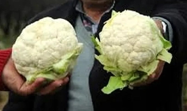 Kış Sebzeleri Artık Tezgahlarda