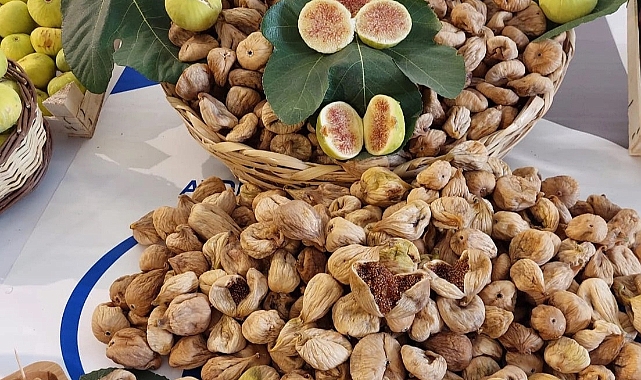 Kuru İncir İhracatı Yüzde 12 Arttı