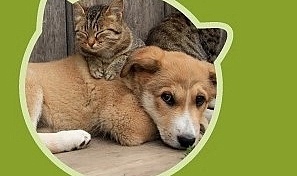 Manisa Büyükşehir'den Örnek Alınacak Proje