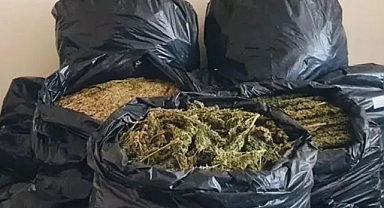 Samsun'un Bafra İlçesinde 160 Kilogram Uyuşturucu Ele Geçirildi