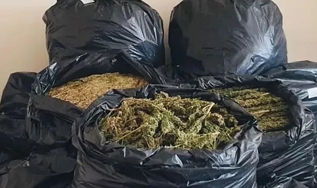 Samsun'un Bafra İlçesinde 160 Kilogram Uyuşturucu Ele Geçirildi