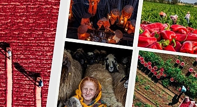 Tarım, Orman ve İnsan Fotoğraf Yarışması Ödül Kazananları Açıklandı