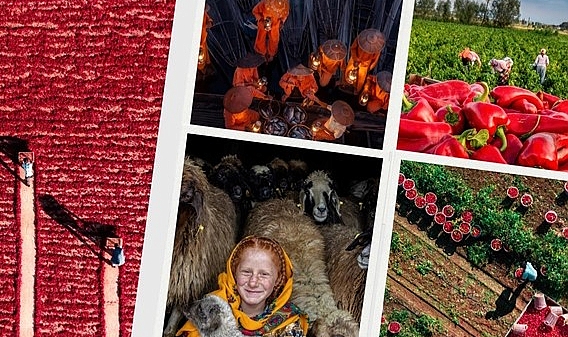 Tarım, Orman ve İnsan Fotoğraf Yarışması Ödül Kazananları Açıklandı