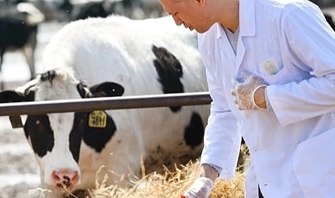 Veteriner Harcamaları Tarımsal Girdilerde Zirveye Yerleşti