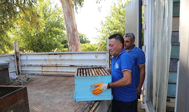 Yerel Yönetimler Arasında Bir İlk: "Temiz Petek" Projesi