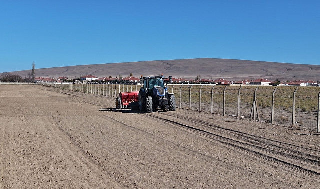 Başkan Altay: Kulu'da 800 Dekar Atıl Arazide Kuraklığa Dayanıklı Yerli Buğday Ekimine Başladık