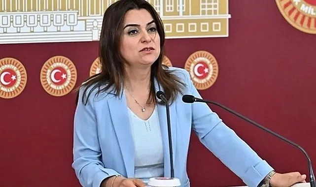 DEM Parti’den Kayyumlara Karşı Hukuki Adım