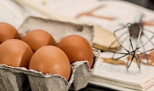 Tavuk Eti ve Yumurtası Üretimi Eylül’de Arttı: Yıllık Üretim Artışları Devam Ediyor