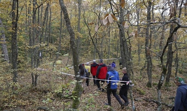 Yenice Ormanlarını Şeritlerle Kirlettiler