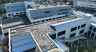 Zonguldak Bülent Ecevit Üniversitesinden Yeşil Çatı Uygulaması