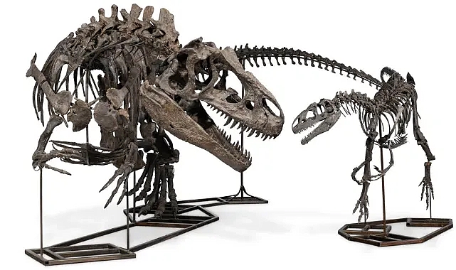 3 Dinozor İskeleti 550 Milyon TL'ye Satıldı!