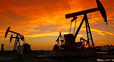 Bakan Müjdeyi Duyurdu! Petrol Bulundu!