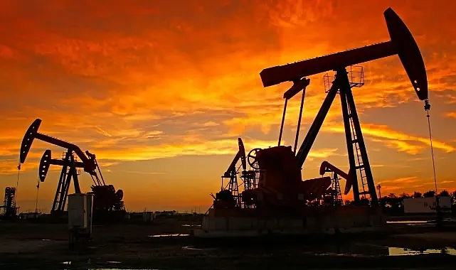 Bakan Müjdeyi Duyurdu! Petrol Bulundu!