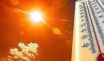 2024 en sıcak yıl oldu