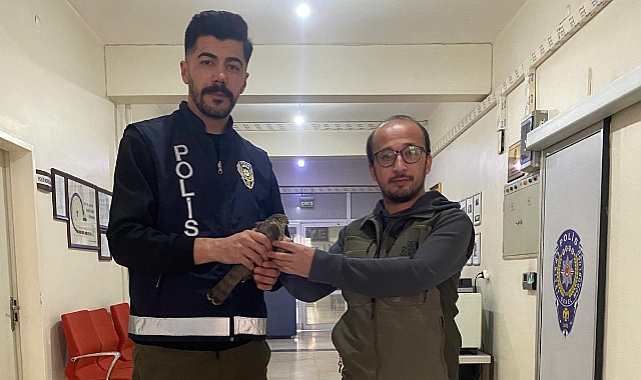 Yaralı Atmaca Koruma Altına Alındı