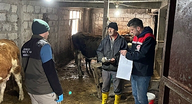 Ereğli'de Şap Hastalığı Şüphesi: Köyde Karantina Uygulaması Başlatıldı