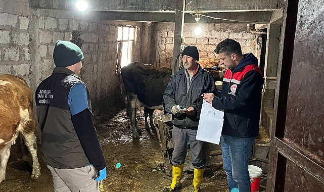Ereğli'de Şap Hastalığı Şüphesi: Köyde Karantina Uygulaması Başlatıldı