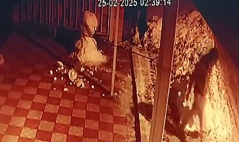 Kardan adama zarar verdiği anlar güvenlik kamerasına yansıdı  