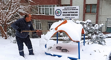 Kdz. Ereğli Belediyesi sokaktaki canları unutmuyor