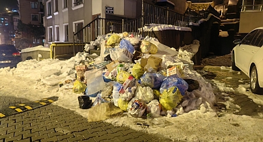 Toplanmayan çöpler tepkilere neden oldu
