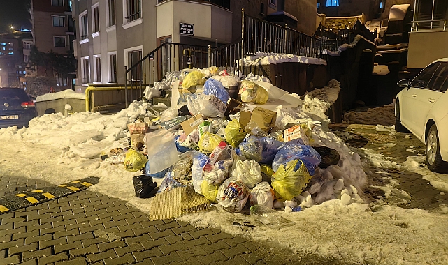 Toplanmayan çöpler tepkilere neden oldu