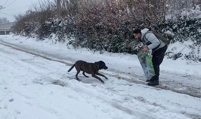 Zonguldak’ta Sokak Hayvanlarına Yardım Eli Uzatıldı