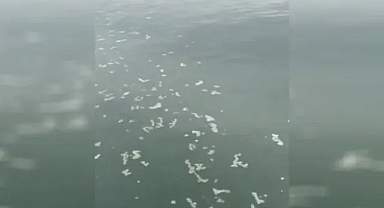 İzmir Körfezi'nde kirliliğe neden olan firmaya 8 milyonluk ceza