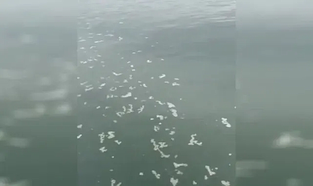 İzmir Körfezi'nde kirliliğe neden olan firmaya 8 milyonluk ceza