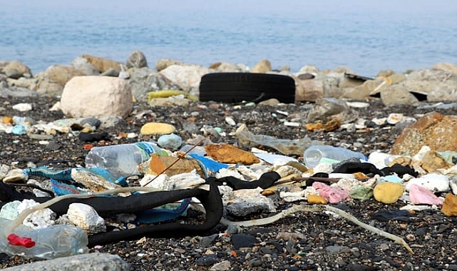 Kozlu Sahili Çöp Denizine Döndü