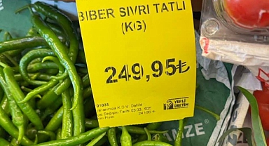 Sivri Biberin Fiyatı Gündem Oldu: 1 Kilo Biber 249,95 TL!