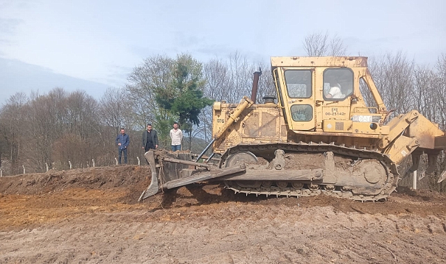 Zonguldak’ta Sokak Hayvanları İçin Çalışmalar Hız Kazandı