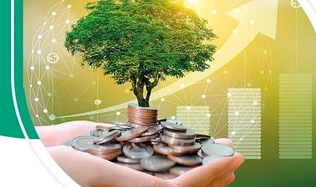 Bankalar Yeşil Varlıklarını Raporlamaya Başlıyor