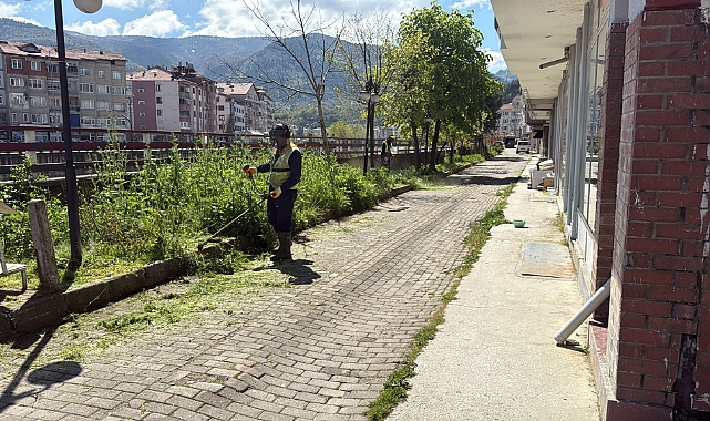 Devrek’te Bahar Mesaisi