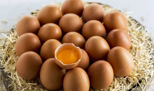 Tavuk Eti Üretimi Artarken, Yumurtada Düşüş Yaşandı