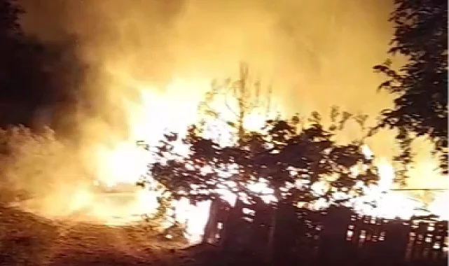 Bursa Mudanya'da bağ evinde yangın!