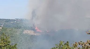 Alaplı'da ormanlık alanda yangın çıktı
