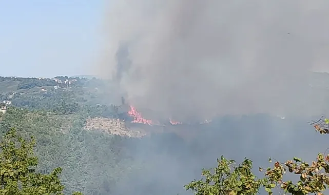 Alaplı'da ormanlık alanda yangın çıktı