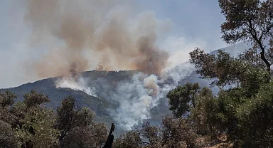 Aydın Köşk’teki yangın kontrol altında